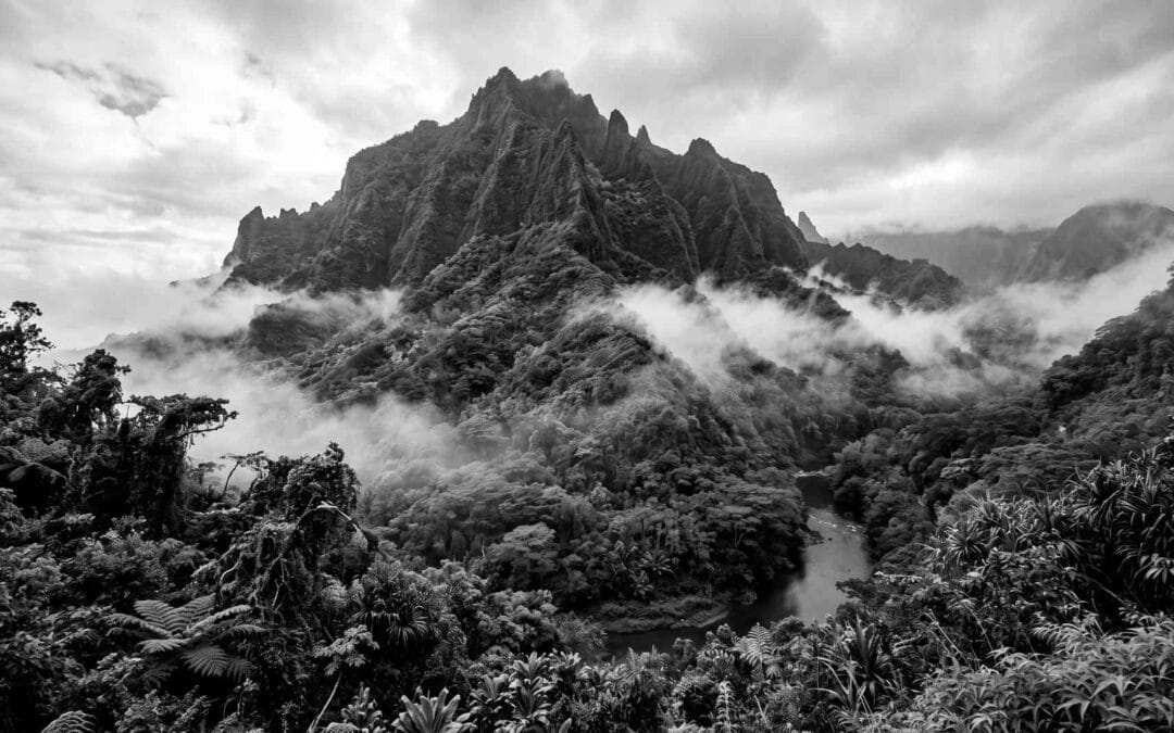 Jenseits von Mindfulness: Wie buddhistische Meditation das Bewusstsein neurologisch transformiert